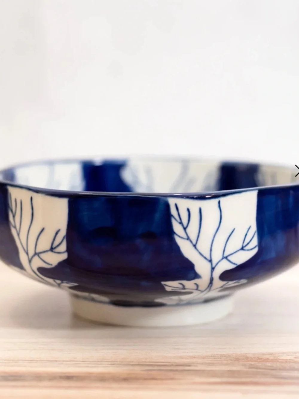 Hemingway Cat Bowls - Set of 2